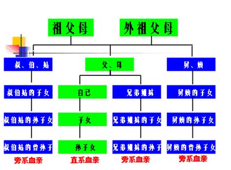 外孫女是直系血親嗎|直系親屬:法規,具體範圍,